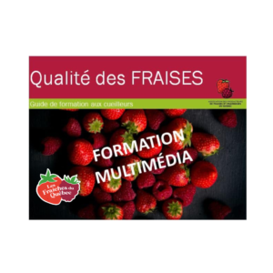 Guide multimédia de formation qualité fraise
