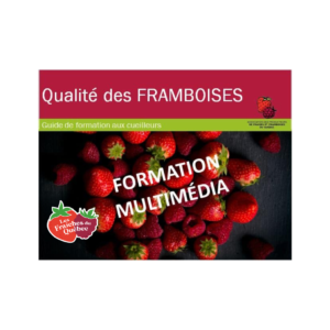 Guide multimédia de formation qualité framboise