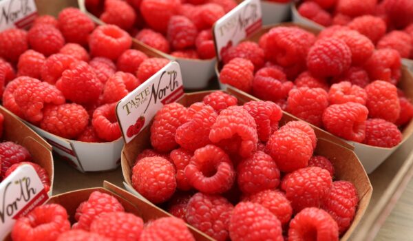 raspberry2.6164855c
