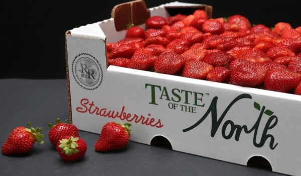 strawberry.4a3cf929