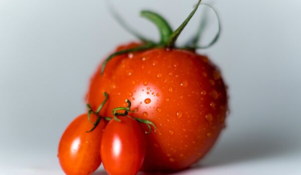 tomatoes.35a5ad59