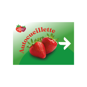 Affiche fraise avec flèche vers la droite