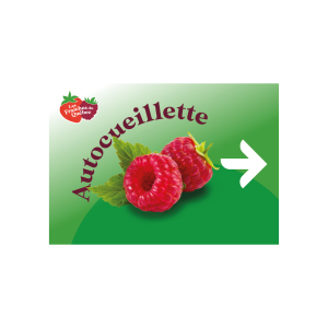 Affiche framboise avec flèche vers la droite
