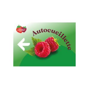 Affiche framboise avec flèche vers la gauche