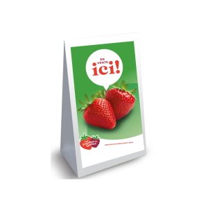 Panneau-sandwich fraise